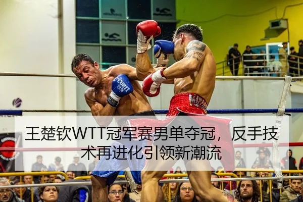 王楚钦WTT冠军赛男单夺冠，反手技术再进化引领新潮流